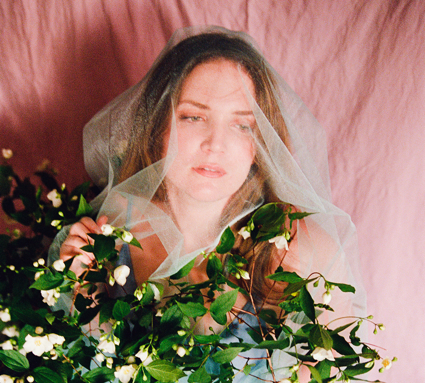 Signed by Wish Queen